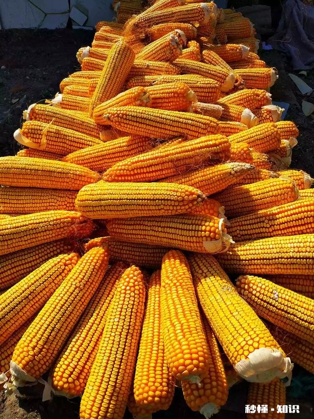 小米mix2前后摄像头的拍照效果怎么样