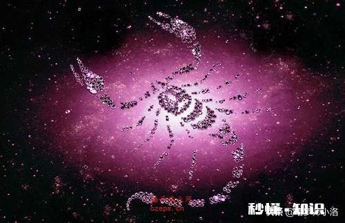 天蝎座男生分得清友情和爱情吗