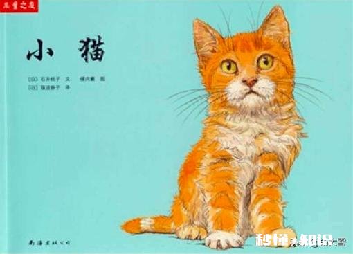 宝宝不喜欢童书绘本怎么办