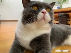 江苏牌照，明天早上想去上海，请问几点之前能上上海高架