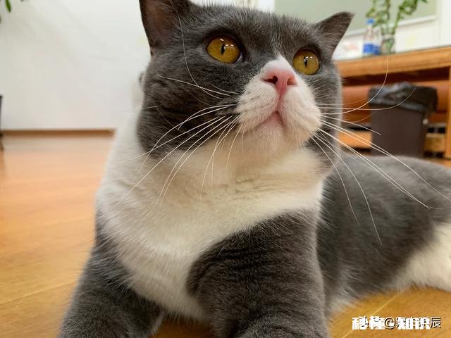 江苏牌照，明天早上想去上海，请问几点之前能上上海高架