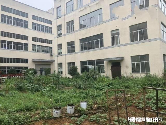 老公一直没有找到工作，看他每天郁闷不开心，我该怎么安慰他