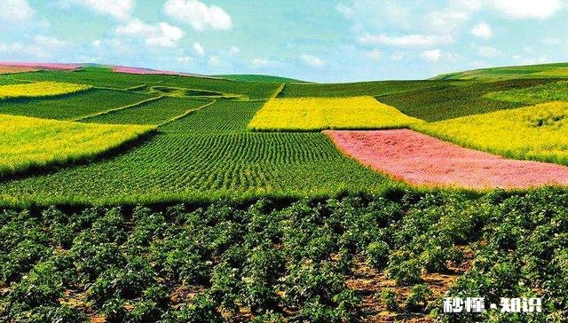 如何加快推进设施种植农业的机械化，规模化发展