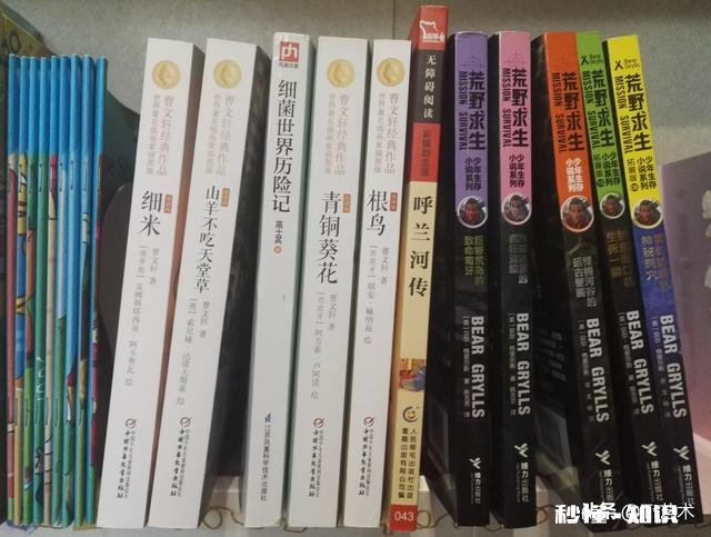 今年9月份上小学四年级，有什么课外书值得一读，请各位推荐