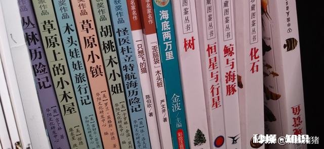 今年9月份上小学四年级，有什么课外书值得一读，请各位推荐