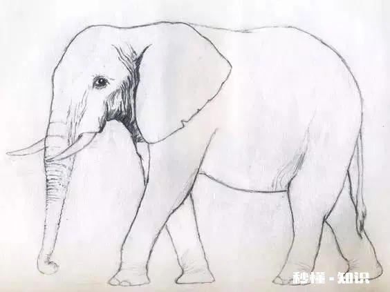 想做微商代理,完全小白,想问问现在微商好做吗