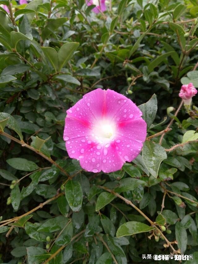 老公对我偶尔家暴，这次我受不了出来打工了，想孩子怎么转移情感