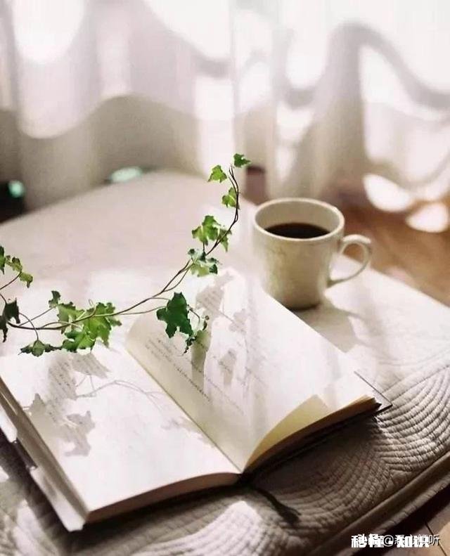 不吃零食没心思学习怎么办尤其晚上自习时