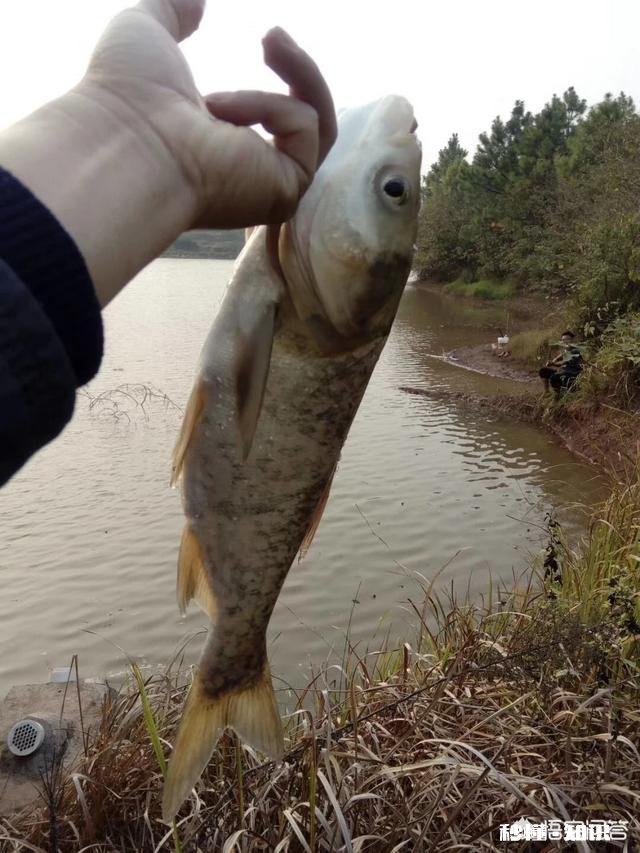 聊城乡村旅游，如何让人“来了还想来”