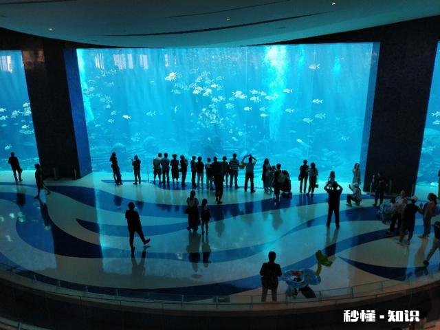 分析酒店可以从哪些方面入手