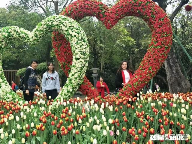 鹃子邀友对联，幽雅兰桂春正茂，请接下联