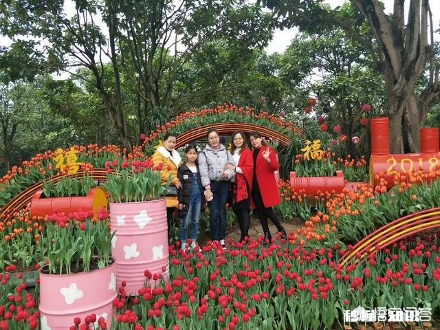 鹃子邀友对联，幽雅兰桂春正茂，请接下联