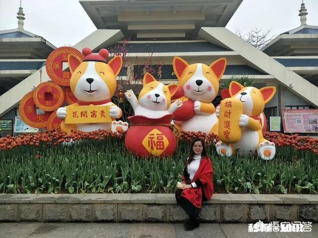 鹃子邀友对联，幽雅兰桂春正茂，请接下联