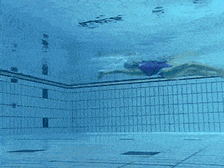 女生游泳能瘦腿嘛