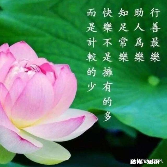 谁能真正悟得“善行无迹”的真谛