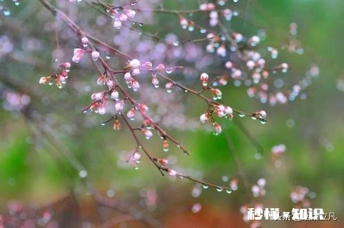 谁能真正悟得“善行无迹”的真谛