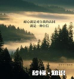 一个总不放心别人做事的人，是什么样的人