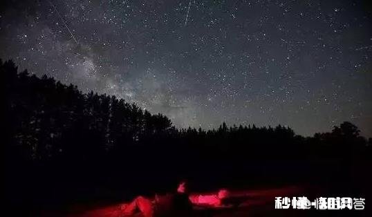 你有多久没见过夏季里满天的星星啦