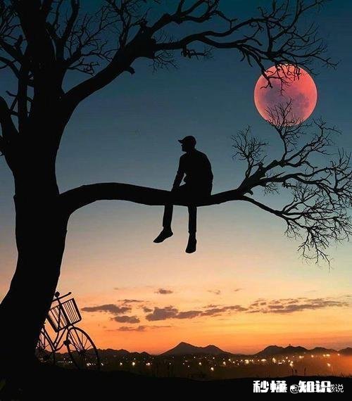 如何看待结婚生子后，没钱，压力大，上有老下有小的生活