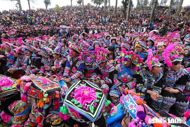 有没有一张特别有意义的照片，每次看到都会给你力量或者震撼分享给大家你的故事