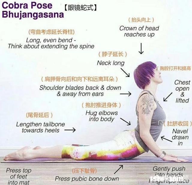 瑜伽新手该如何练习瑜伽