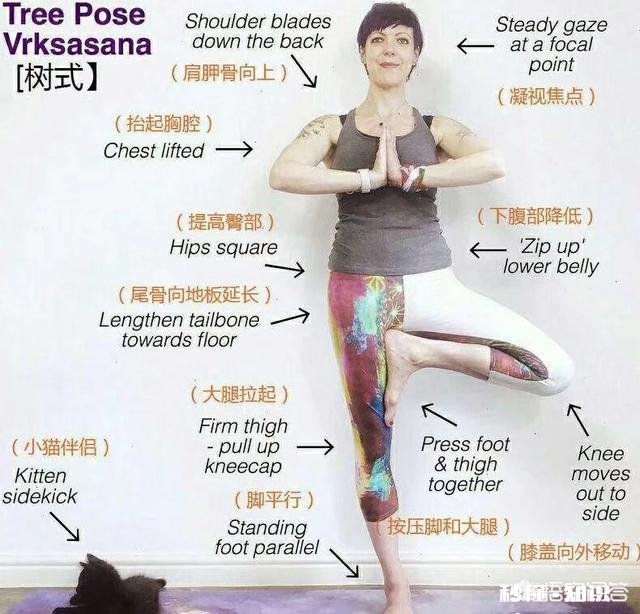 瑜伽新手该如何练习瑜伽