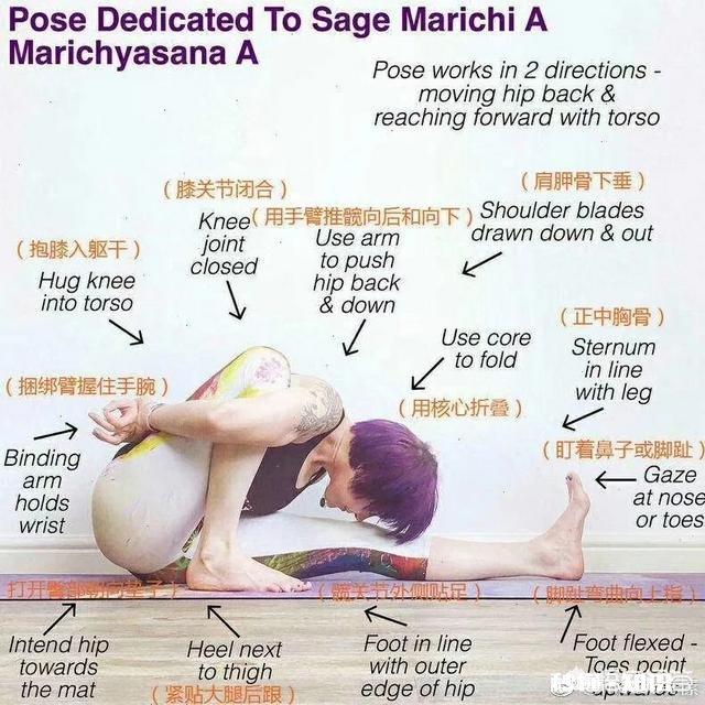 瑜伽新手该如何练习瑜伽