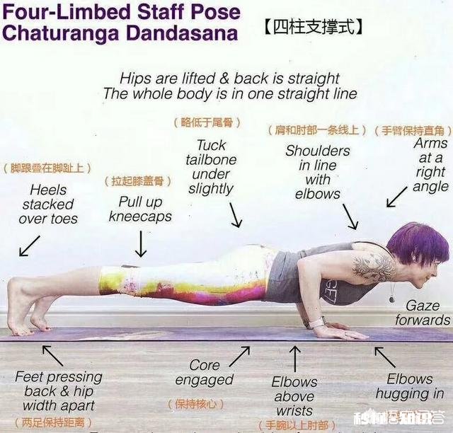 瑜伽新手该如何练习瑜伽