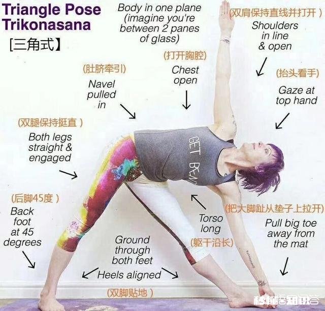 瑜伽新手该如何练习瑜伽