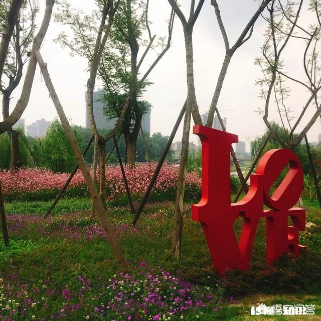 找一个能跟自己一起教育孩子，分担家务，体贴自己的男人，难不难