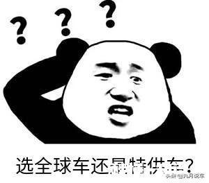 中国特供车和全球车辆如何选择
