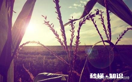 “期待应该放在自己身上，而不是寄托于他人”你怎么看