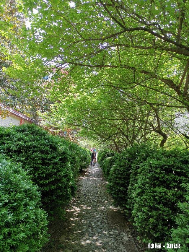 “期待应该放在自己身上，而不是寄托于他人”你怎么看