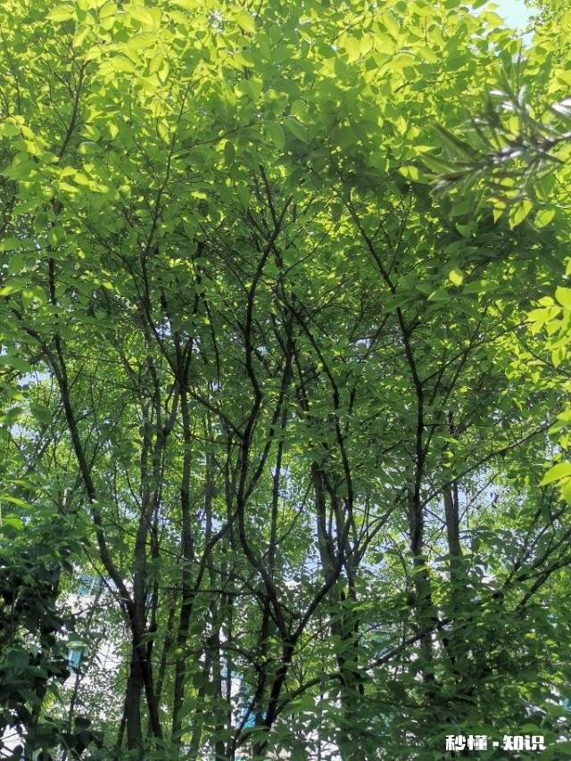 “期待应该放在自己身上，而不是寄托于他人”你怎么看