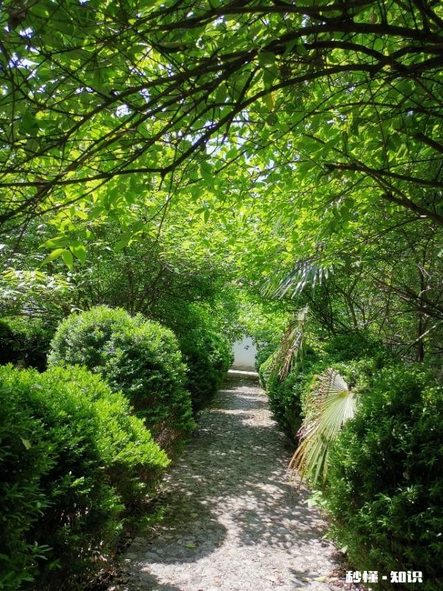 “期待应该放在自己身上，而不是寄托于他人”你怎么看