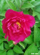 遇到不省事的小姑子应该怎么办