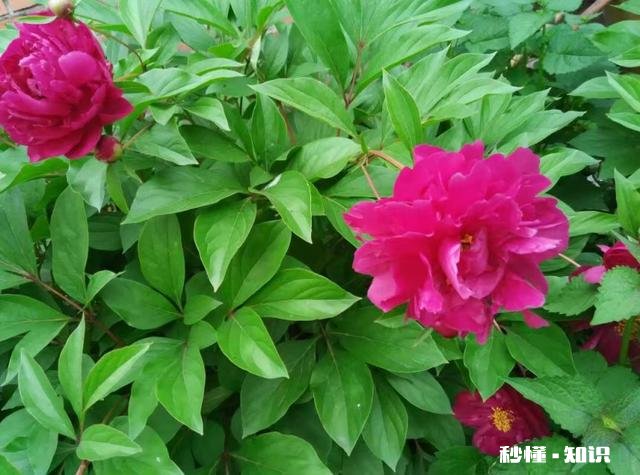 遇到不省事的小姑子应该怎么办