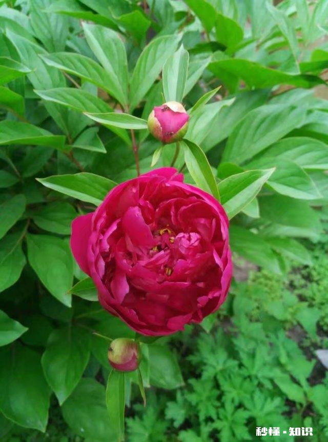 遇到不省事的小姑子应该怎么办