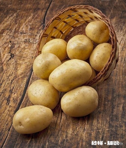 如果你的生活里只剩牛肉和土豆你会选择哪个为什么