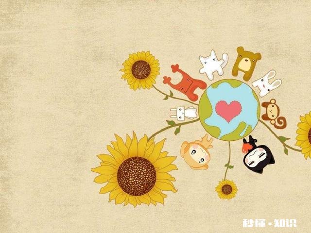 是现在找个人赶紧结婚，还是继续等那个合适的人