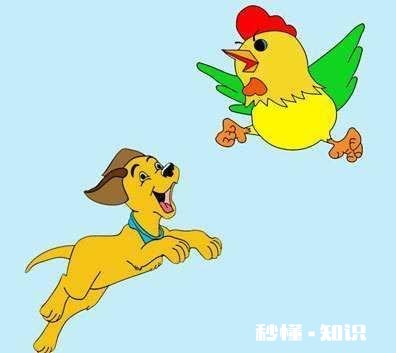 是现在找个人赶紧结婚，还是继续等那个合适的人