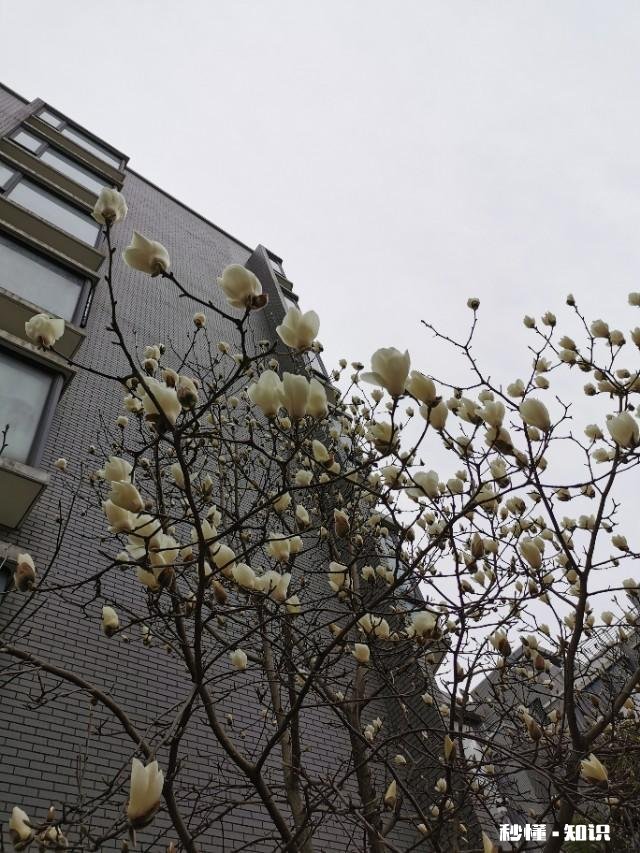 是现在找个人赶紧结婚，还是继续等那个合适的人