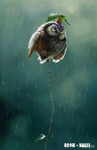 如何看待别人问一个严肃的问题，在你认真回答后，那人却说“逗你呢，你咋还当真呀”这种情况