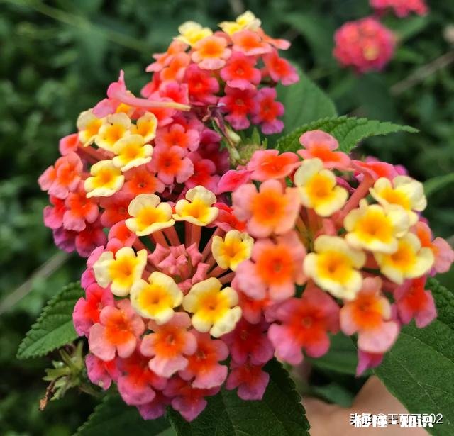 你有时间或挤时间读书吗你在什么境况下会想到读书