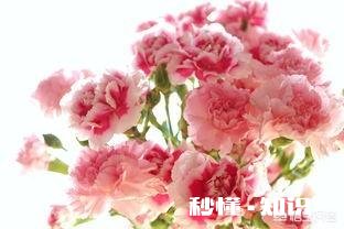 上学的时候，你对付老师的时候都做过哪些坏事