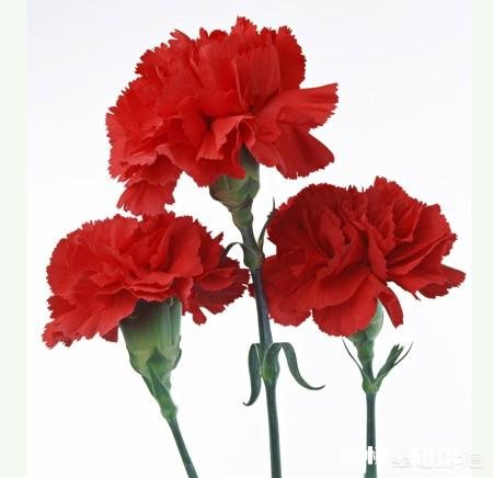 上学的时候，你对付老师的时候都做过哪些坏事