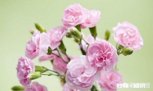 上学的时候，你对付老师的时候都做过哪些坏事