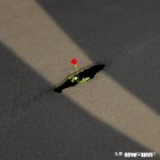 北上广一个人年薪百万和五线两个人年薪十万，谁生活品质高