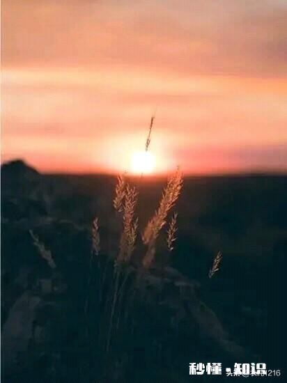 对于刚工作半年的小白,该不该考虑买房子为什么