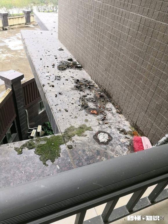 腰线房到底好不好买的时候没有问清楚，后发现23、24、25是腰线，我买的24